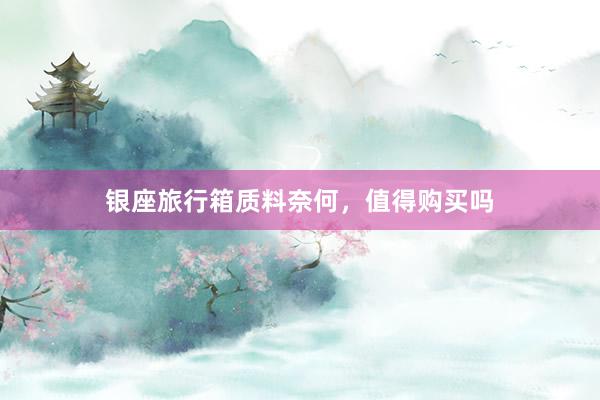 银座旅行箱质料奈何，值得购买吗