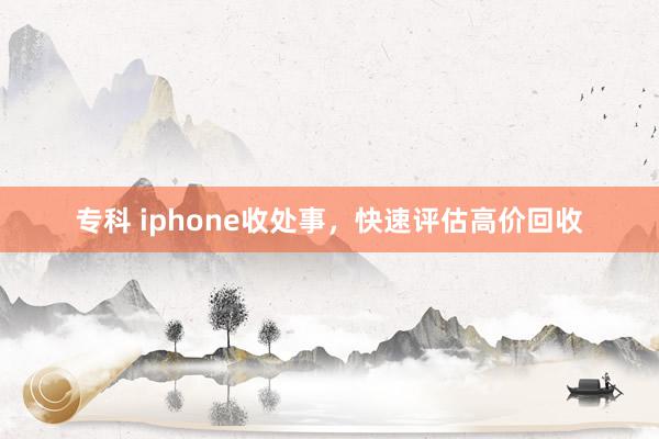 专科 iphone收处事，快速评估高价回收